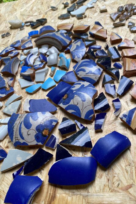 1000093086 1000093086